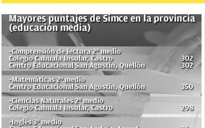 Conozca a los establecimientos que destacaron en el Simce 2014